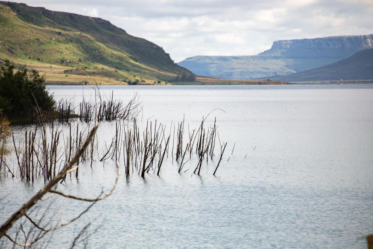 Wild Horses Lodge Harrismith Buitenkant foto
