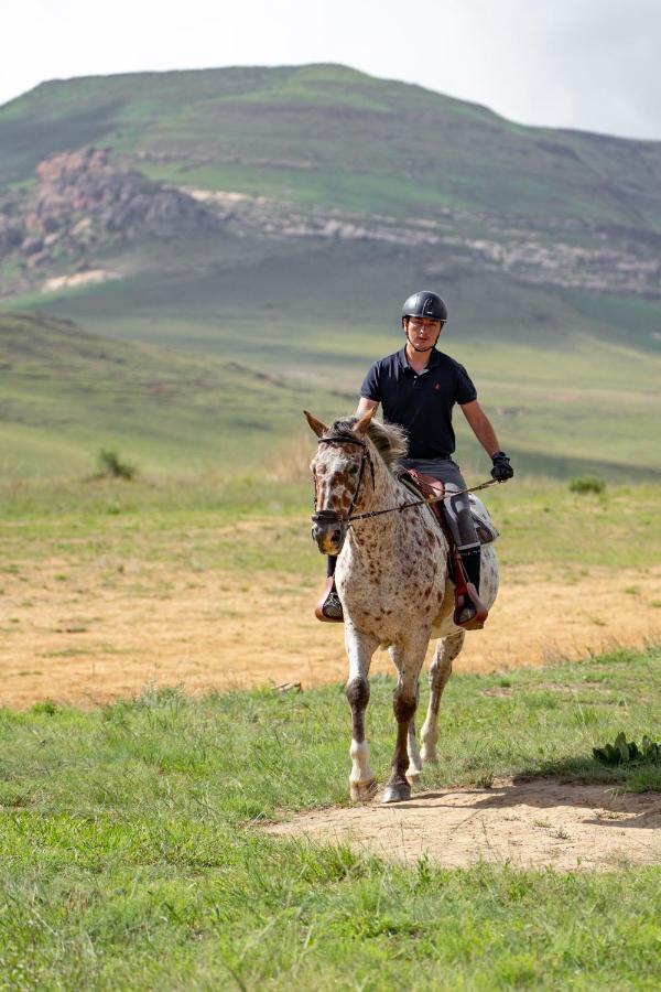 Wild Horses Lodge Harrismith Buitenkant foto