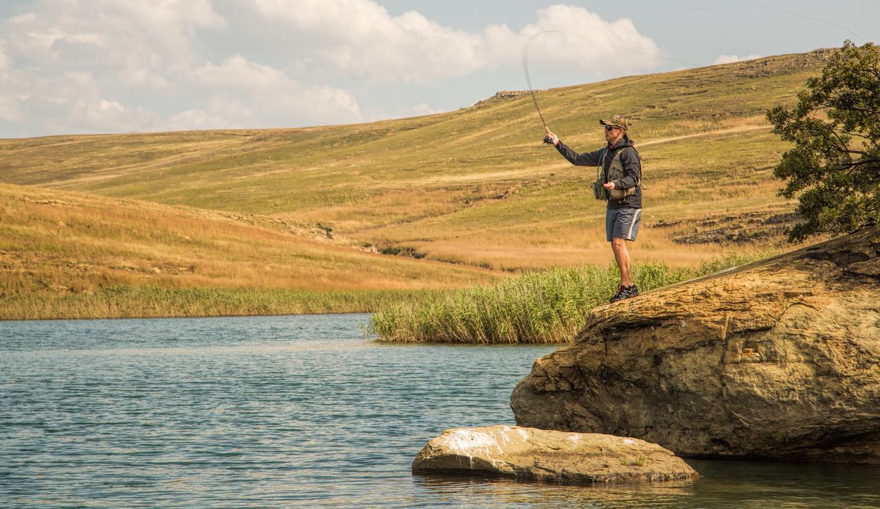 Wild Horses Lodge Harrismith Buitenkant foto