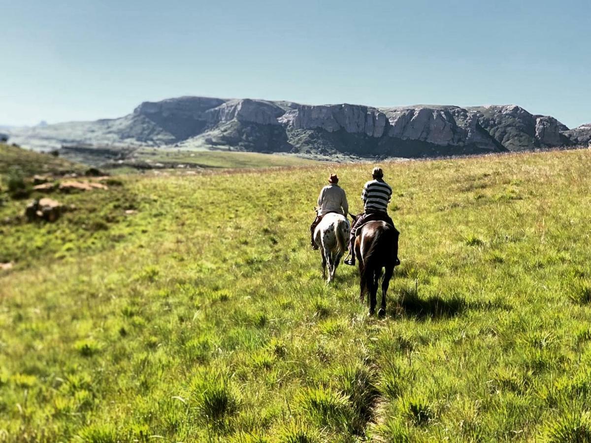 Wild Horses Lodge Harrismith Buitenkant foto